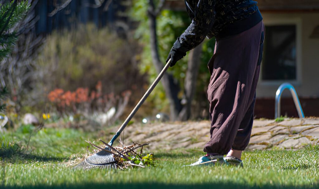 spring cleanup