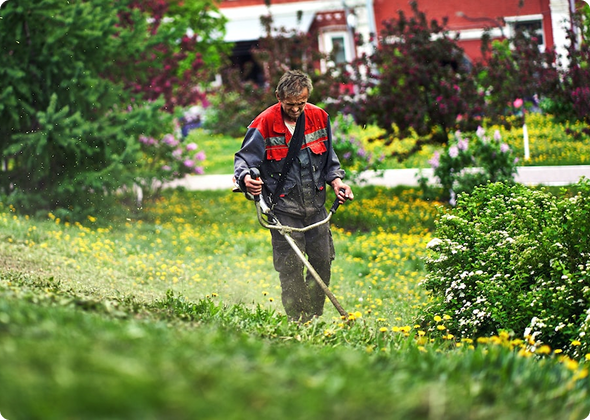Blooms Landscaping Services-Hardscape-Landscaping|Front page